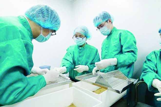 Việt Nam thử nghiệm vắc-xin Covid-19 trên người tình nguyện trong tháng 11 này - 2