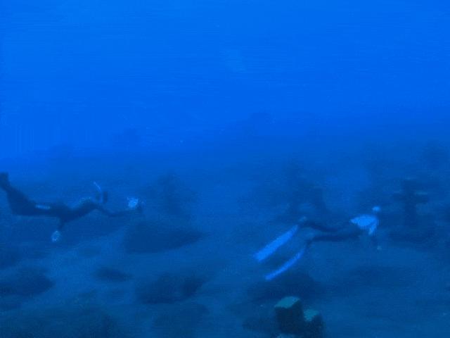 Media - Ám ảnh với nghĩa trang dưới đáy đại dương ở Tây Ban Nha