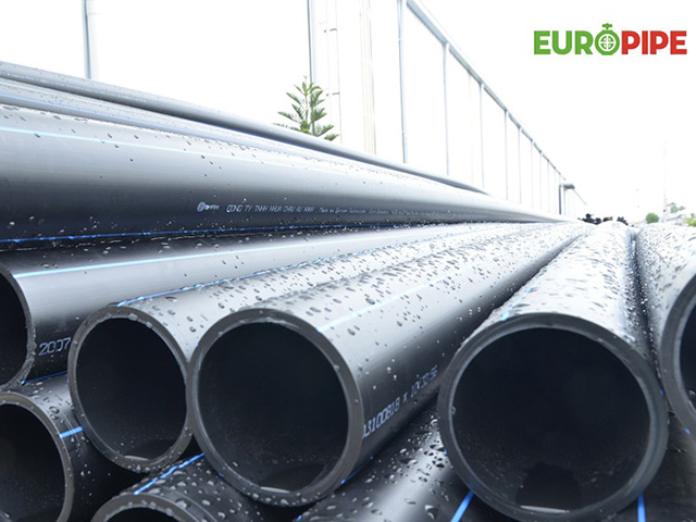 Làm đúng, sản xuất thật, AMACCAO không ‘xây nhà trên cát’