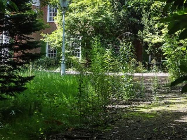 Kinh doanh - Loạt biệt phủ bị đại gia "bỏ rơi" không nhòm ngó, cỏ mọc um tùm