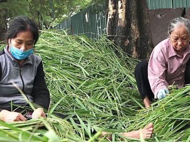 Ẩm thực - Ngất ngây hương vị cốm Mễ Trì