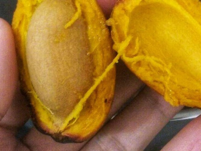 Ẩm thực - Không ngờ thứ quả của vùng quê nghèo lại trở thành món gây tranh cãi