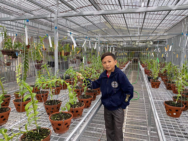 Mạnh Đinh: Quá khứ nghèo khổ và khởi nghiệp thành công nhờ trồng lan - 2