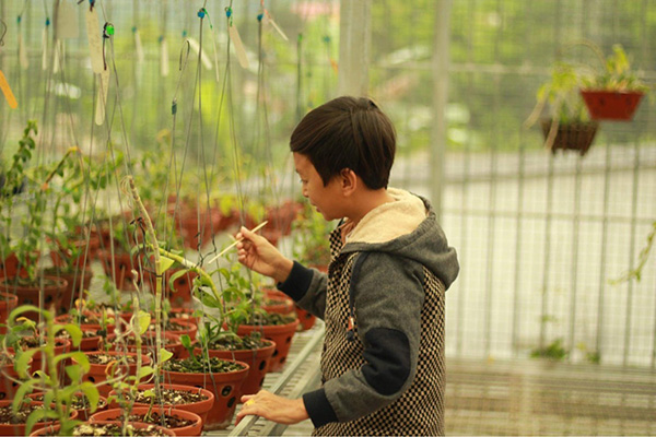 Mạnh Đinh: Quá khứ nghèo khổ và khởi nghiệp thành công nhờ trồng lan - 4