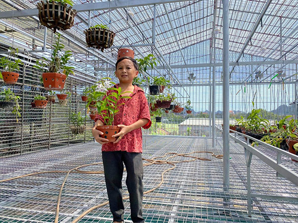 Mạnh Đinh: Quá khứ nghèo khổ và khởi nghiệp thành công nhờ trồng lan - 5