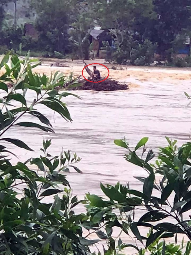 Trong lúc đi chăn bò, người đàn ông ở huyện Hoài Ân, tỉnh Bình Định bị nước lũ cuốn trôi và mắc kẹt trên ngọn cây.
