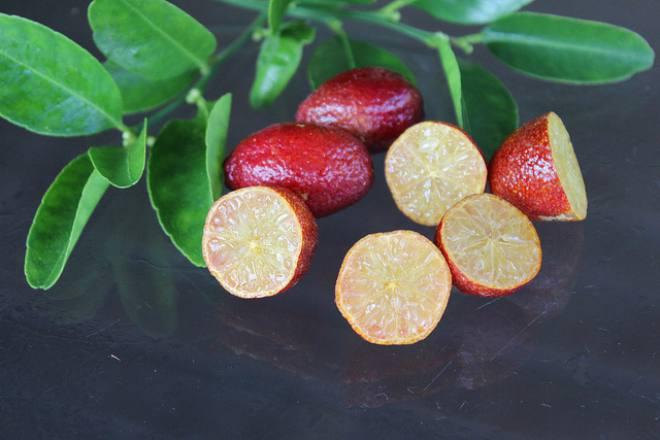 Trên chợ mạng, giống chanh đỏ Úc có giá bán 300.000 đồng/cây giống.
