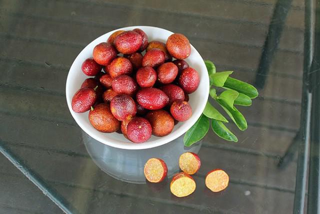 Khi quả còn nhỏ chanh có màu đen, đến khi lớn và thu hoạch được chúng mới bắt đầu chuyển dần sang màu đỏ tuyệt đẹp, có hình bầu dục và kích thước giống như những quả trứng gà nhỏ.