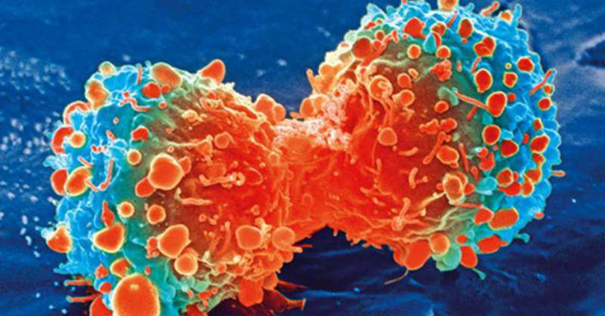 Sức khỏe đời sống - Có thể điều trị COVID-19 bằng thuốc điều trị ung thư