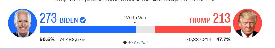 Ông Biden thắng lớn, trở thành Tổng thống Mỹ thứ 46 - 28