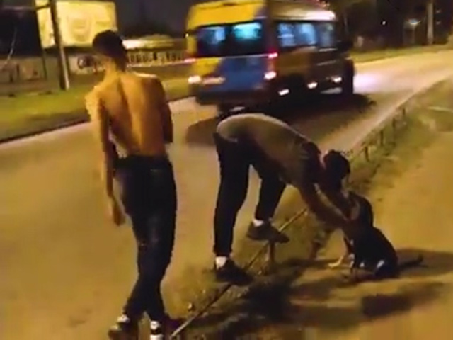 Cười 24H - Bật cười với khoảnh khắc "quả báo" đến quá bất ngờ