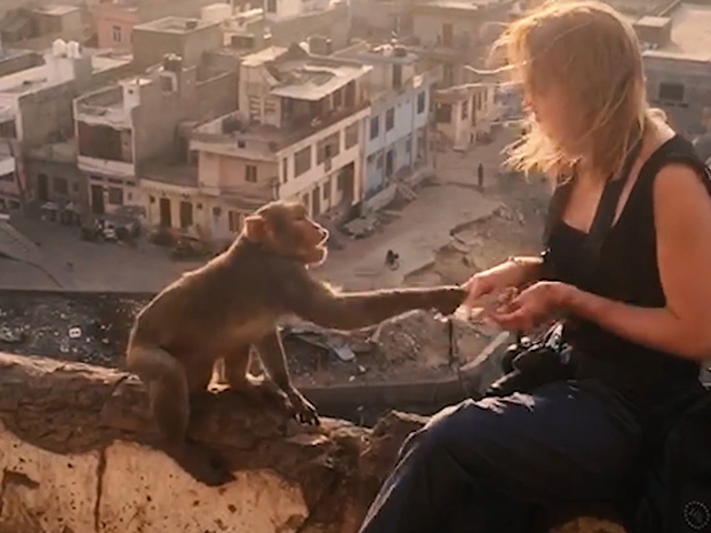 Cười 24H - Hoang mang khi hậu duệ của "Tề Thiên Đại Thánh" tấu hài