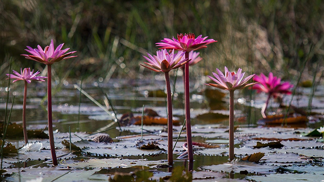 Đổi gió cuối tuần ở Tây Ninh, đừng quên check-in những địa điểm nổi tiếng này - 8