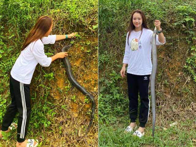 Bạn trẻ - Cuộc sống - Gái xinh Nghệ An tay không bắt rắn hổ mang khiến dân mạng "toát mồ hôi"