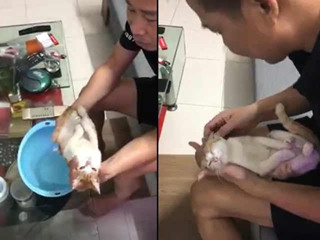 Bạn trẻ - Cuộc sống - Clip: Ông nội dạy cách tắm cho cháu và "diễn viên đóng thế" cực có tâm gây sốt