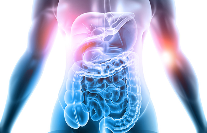 Toàn bộ quá trình tiêu hóa trong cơ thể con người mất tổng cộng từ 2-5 ngày