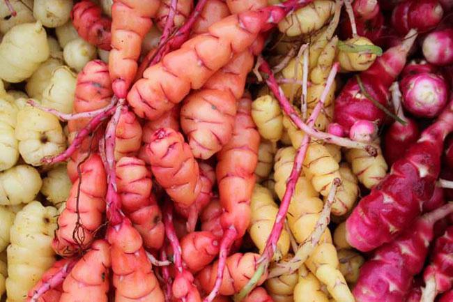 8 loại rau củ kỳ lạ trên thế giới, chỉ nhìn thôi cũng đủ ngạc nhiên - 9