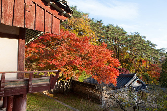 Cảnh sắc thu tuyệt đẹp trong không gian học viện