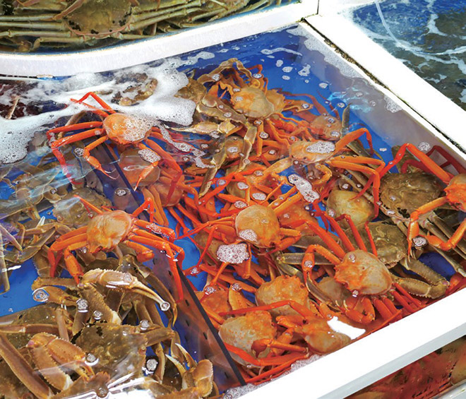 Hải sản tươi ngon được bày bán tại chợ Sokcho