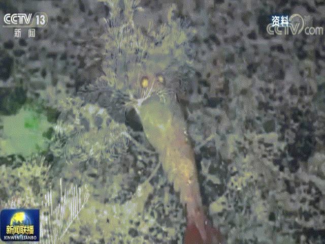 Thế giới - Tàu lặn Trung Quốc lập kỷ lục đưa người xuống đáy vực sâu nhất Trái đất