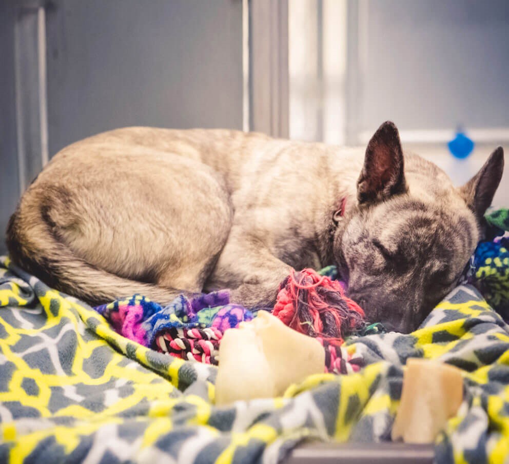 20 phương pháp sử dụng lại quần áo cũ, tránh lãng phí - 1