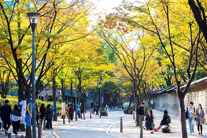 8 địa điểm du lịch ở Hàn Quốc được các cặp đôi yêu thích nhất  Học Tiếng  Hàn