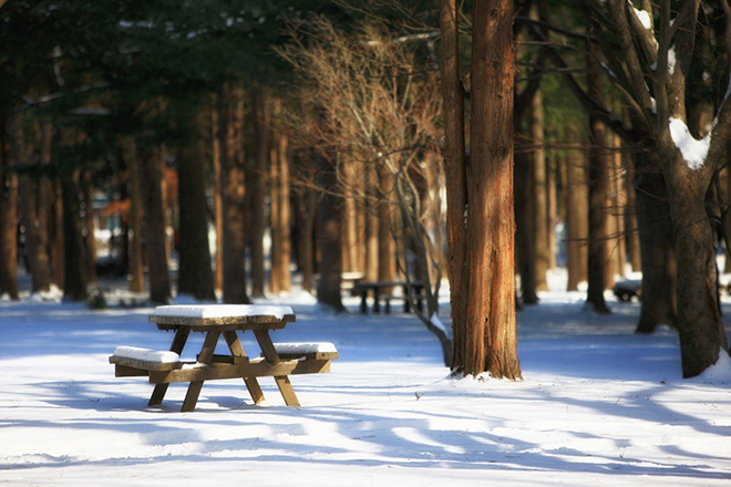 Đảo Nami phủ đầy tuyết trắng lãng mạn như khung cảnh trong phim