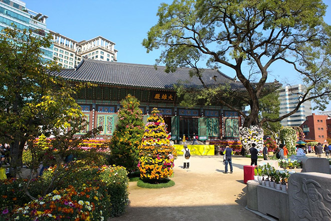 Ngôi chùa Jogyesa cổ kính giữa lòng thủ đô Seoul hoa lệ