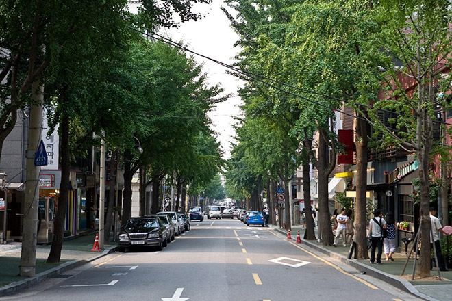 Đi dạo dọc con phố Sinsa-dong Garosu-gil