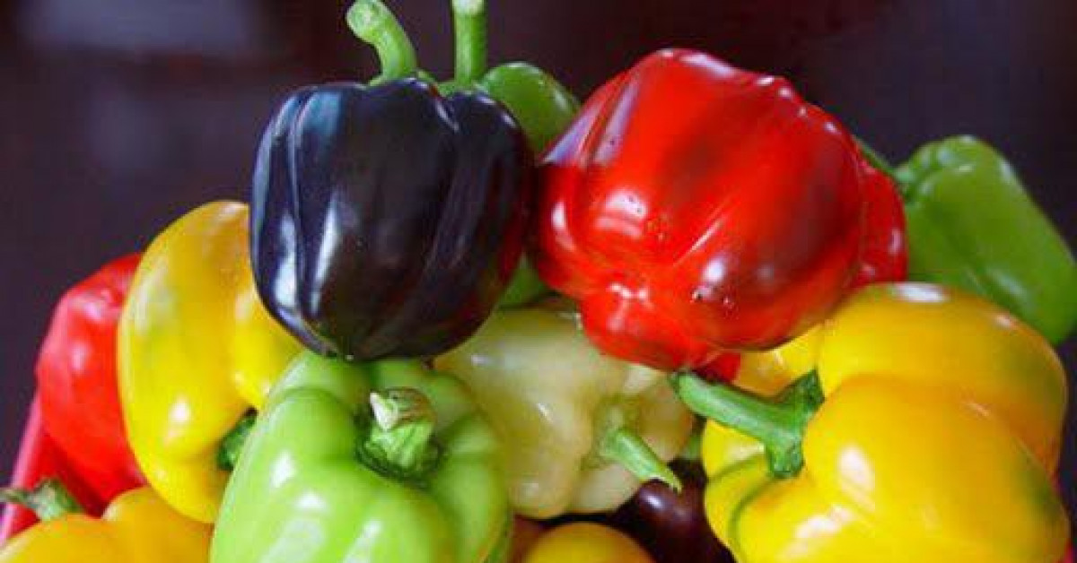 Sức khỏe đời sống - Không cần bổ sung vitamin, những rau củ này 'thừa chất', lại làm da căng mọng