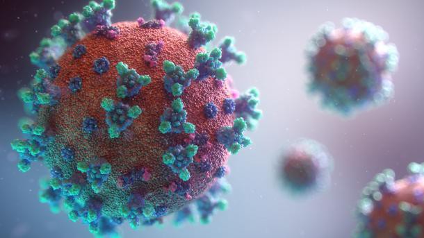 Mỹ: COVID-19 đang 'nóng sùng sục', lại phát hiện thêm virus cực độc - 5