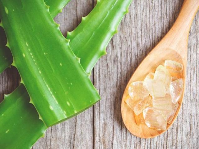 Làm đẹp - Những lợi ích làm đẹp tuyệt vời từ nha đam