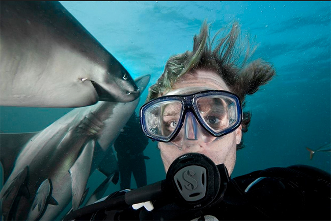 Chụp ảnh tự sướng với cá mập: Chàng thành niên Aaron Gekoski đã tham gia một chuyến lặn biển cùng những người bạn thân nhất của mình, đó chính cá mập đầu đen ở đại dương.
