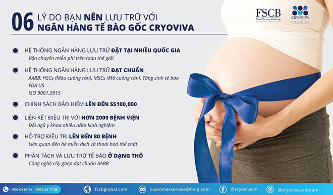Dàn sao Việt đồng loạt lưu trữ tế bào gốc cho con - 6