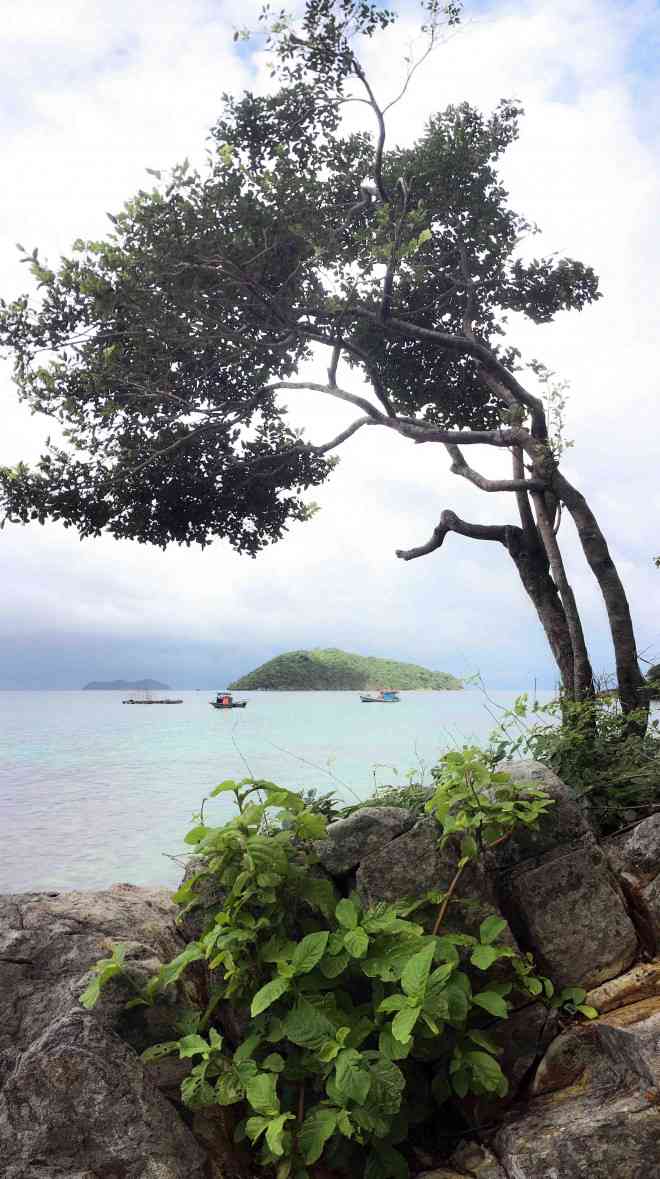 Có vẻ như thiên nhiên đang ôm ấp chở che cho con người ở đây