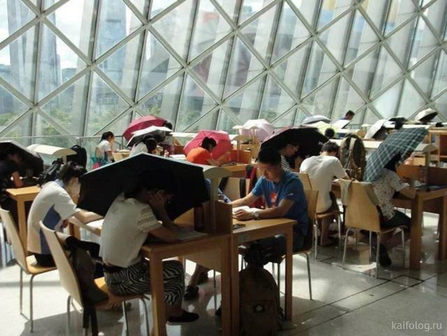 Sao phải khổ sở như vậy chứ, không được thì ở nhà cho lành.

