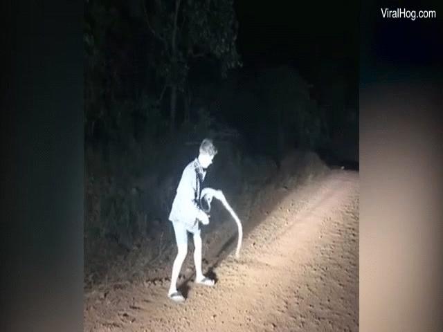 Phi thường - kỳ quặc - Video: "To gan" dùng tay không bắt rắn, thanh niên hốt hoảng vứt "chiến lợi phẩm" bỏ chạy
