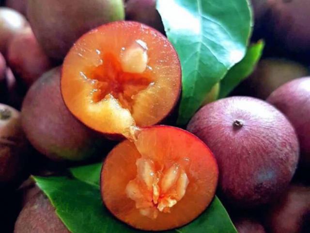 Ẩm thực - Những "đặc sản" tuổi thơ ngày xưa được quý như vàng, giờ ít ai biết đến