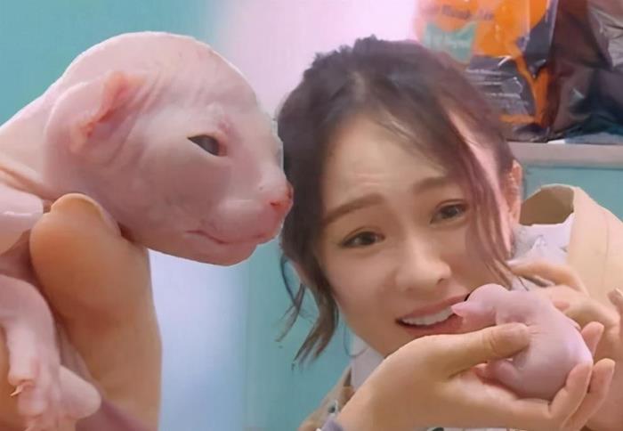 Sao Hoa Ngữ đo độ giàu qua... thú cưng: Toàn loài hiếm, giá trên trời - 5