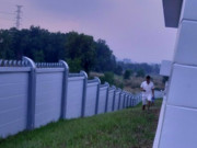 Tin tức trong ngày - Leo rào bán hàng cho người về từ vùng dịch COVID-19