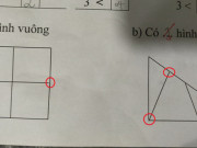 Giáo dục - du học - Bài toán đếm hình lớp 1 đơn giản, nhưng lời giải của học sinh khiến mọi người cảm thấy 'hack não'