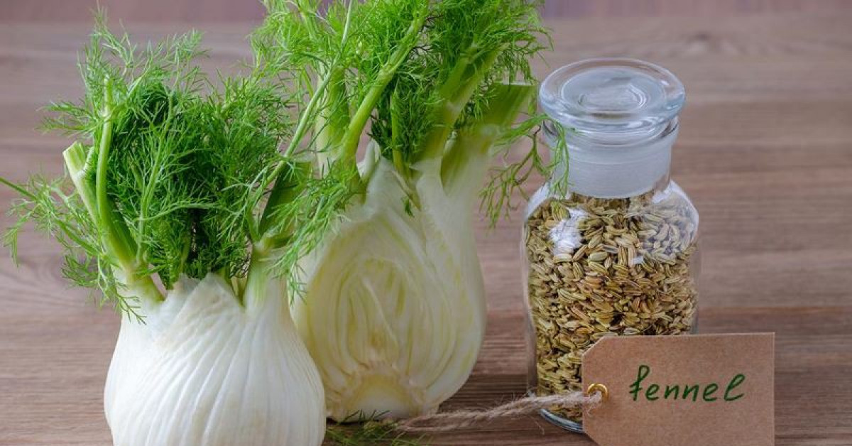 Sức khỏe đời sống - Nhiều lợi ích bất ngờ của cây thì là