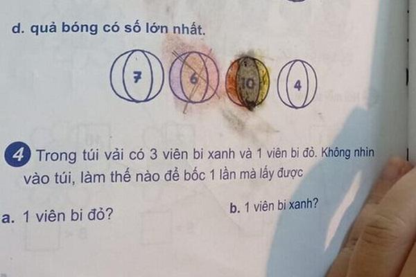 Bài toán đếm con ong "1+0=1" khiến 2 mẹ con "mâu thuẫn nội bộ" - 2