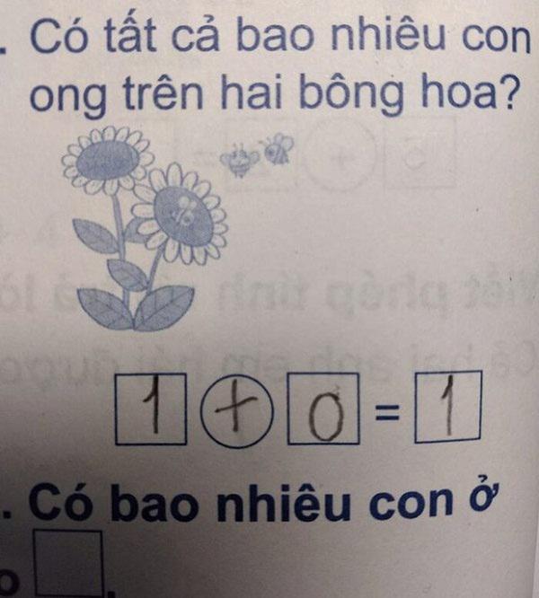 Bài toán đếm con ong "1+0=1" khiến 2 mẹ con "mâu thuẫn nội bộ" - 1