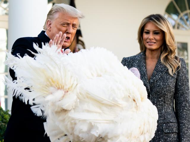 Thế giới - Tại sao Tổng thống Mỹ lại xá tội cho gà tây?