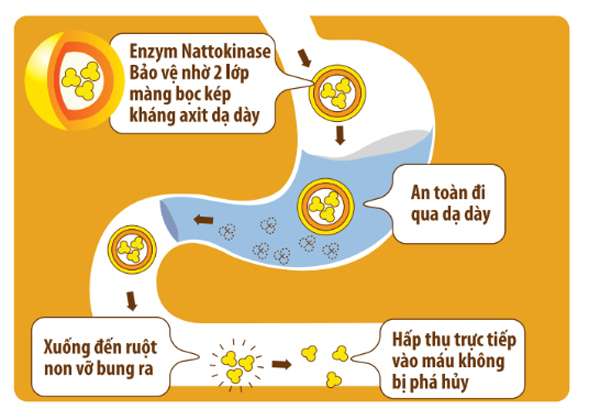 Công nghệ SMC giúp bảo vệ nguyên vẹn Nattokinase đi vào cơ thể