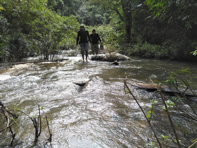 Từ&nbsp;thành phố Pleiku (Gia Lai) đến xã Krong, huyện Kbang khoảng 130km.&nbsp;Từ xã Krong vào được hiện trường, nhóm phóng viên Tiền Phong phải đi bộ, vượt núi, lội suối