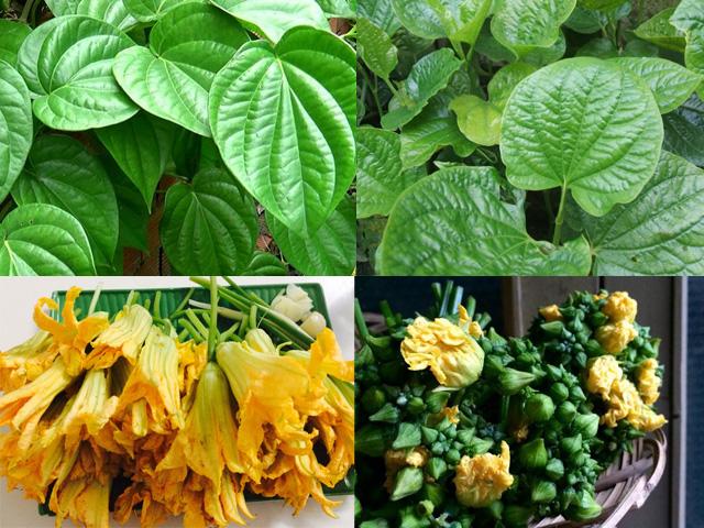 Ẩm thực - Những loại rau rất dễ nhầm lẫn, lỗi nhẹ thì cơm mất ngon, nặng thì "gây họa"