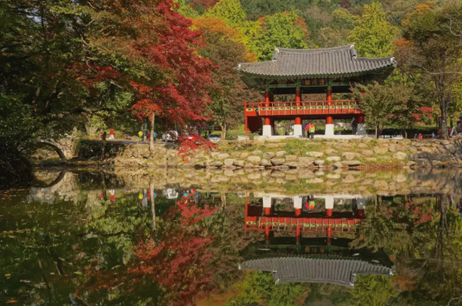 Chùa Baegyangsa: Ngôi chùa Phật giáo này được xây dựng bởi một thiền sư vào năm 632 sau Công nguyên giữa khu rừng trong Vườn quốc gia Naejangsan thuộc huyện Jangseong, tỉnh Jeolla, Hàn Quốc. 
