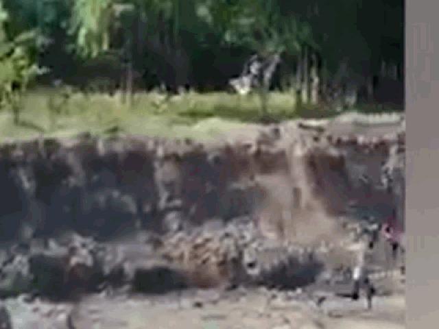 Media - Hổ truy đuổi, vồ người đàn ông ngã xuống hố sâu gần 5 mét